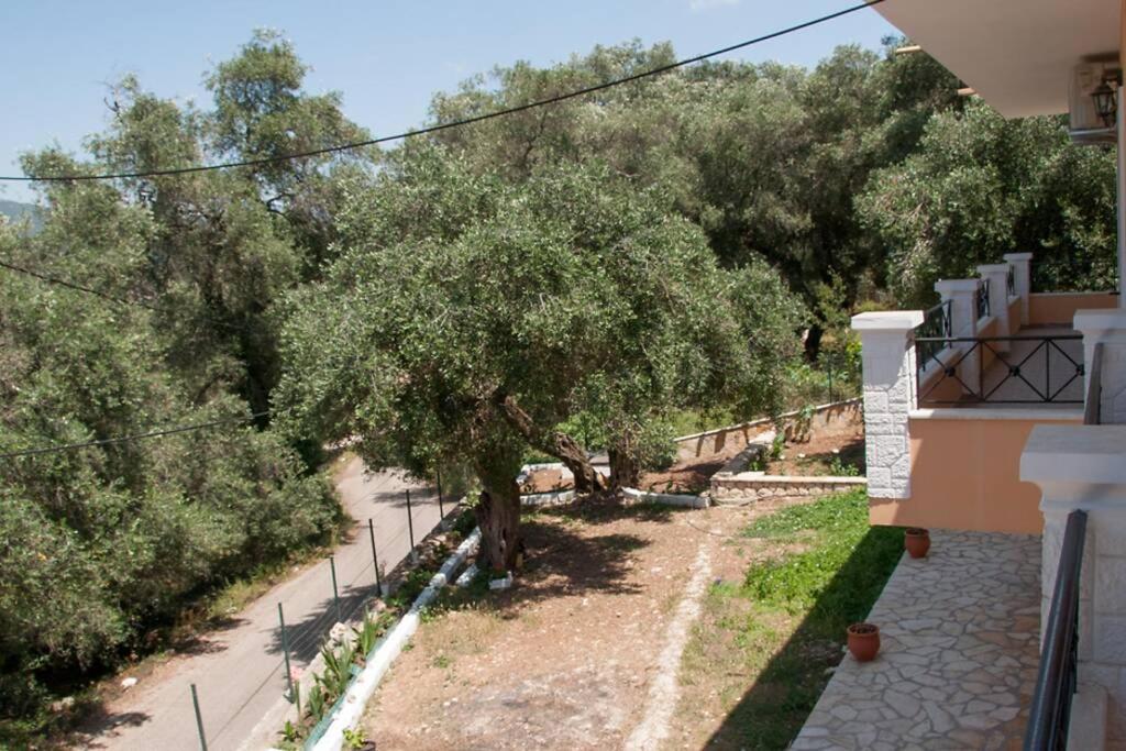 Villa Angelika リアパデス エクステリア 写真